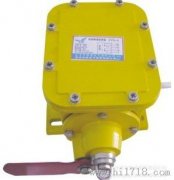 縱向撕裂開(kāi)關(guān)YHZL-I、YHZL-IIBZL-220B防爆縱向撕裂保護(hù)裝置