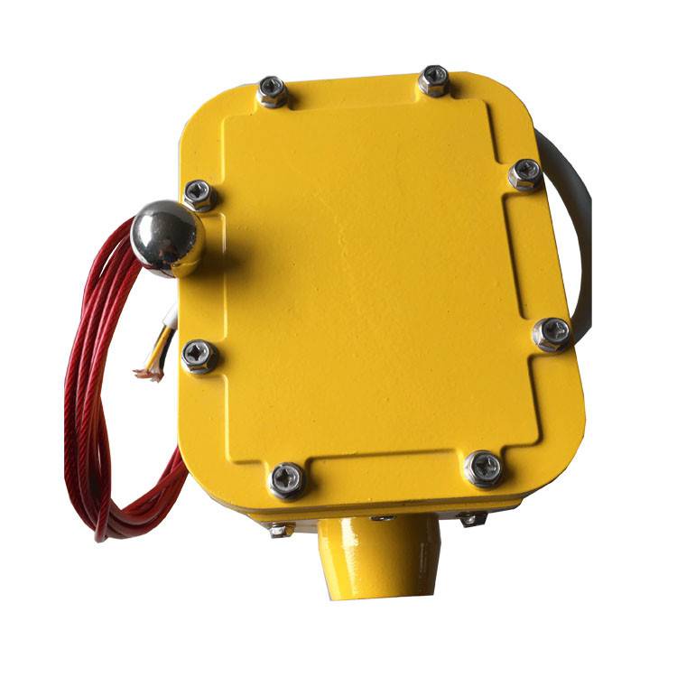皮帶縱向撕裂檢測器SCPT-180-30、皮帶縱向撕裂檢測裝置ZL-B-II-100生產(chǎn)